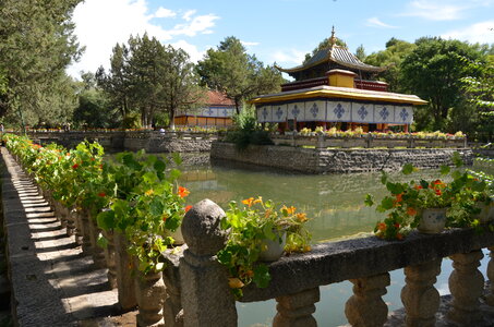 Tibet 2019 , J02_GDU_0292