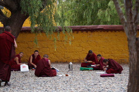 Tibet 2019 , J04_MCC_0208