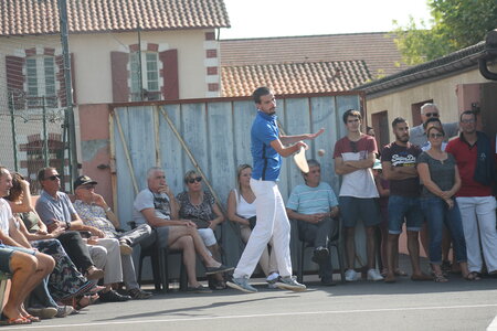 Finales platanes 2019, IMG_2382