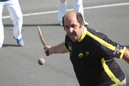 Finales platanes 2019, IMG_2387
