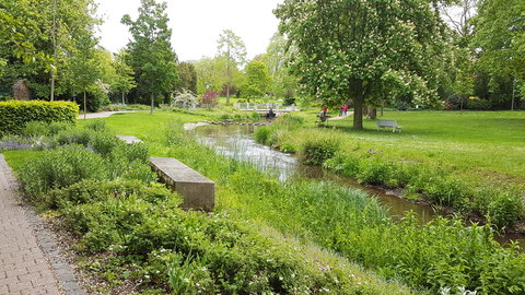 0545 voyage à Römerberg pour le 50 ième anniversaire du 11 au 13 mai 2019, 008 parc à Bad Durkheim