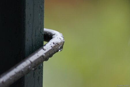 Lionel Lang Photographies, _DSC5756 (Copier)