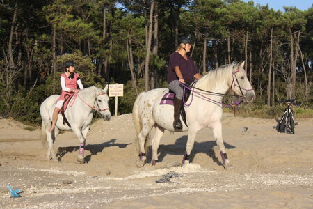 plage apache / gip, IMG_5855