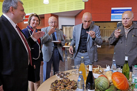CAP SENIOR BRUCHE, 39-C3957_DxO