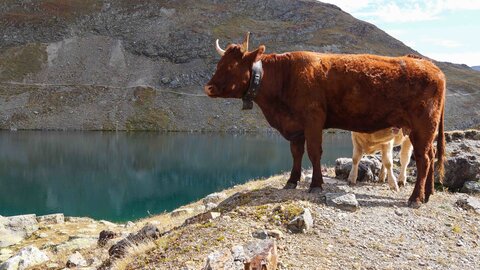 Maurienne 2019, P1011846