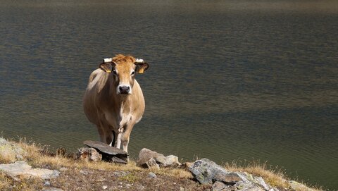 Maurienne 2019, P1011847