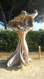 Messanges 2019, 20190920_173101