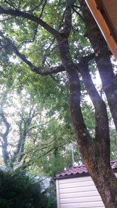Messanges 2019, 20190921_095549