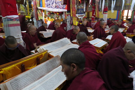 Tibet 2019 , J02_BJM_0717