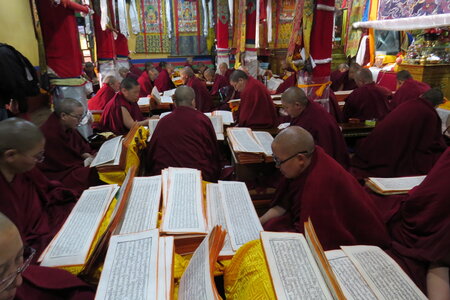 Tibet 2019 , J02_BJM_0724