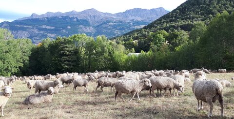 2019 09 24 Montgardin, Montgardin  6 