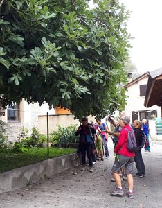 2019 09 24 Montgardin, Montgardin  29 
