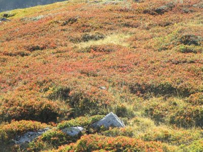 2019 09 16 Séjour Maurienne Rambaud, IMG_3308
