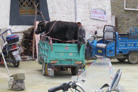 Tibet 2019 , J05_BJM_0978