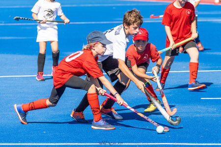 Hockey sur Gazon Antibes 28 septembre 2019, tournoi antibes 28 sept19  86 sur 140 