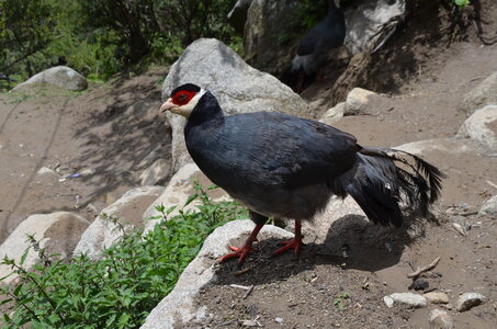 Tibet 2019 , J06_GDU_0585