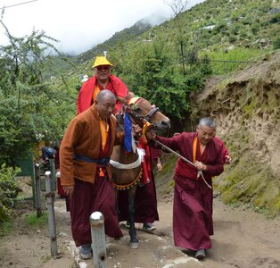 Tibet 2019 , J06_GDU_0597 