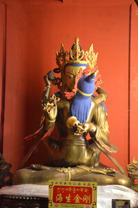 Tibet 2019 , J07_GDU_0657