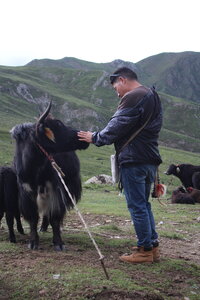Tibet 2019 , J15_MAG_0037