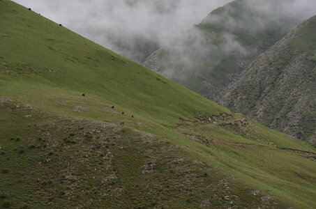 Tibet 2019 , J08_GDU_0741