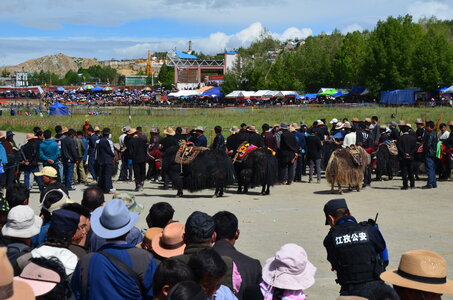 Tibet 2019 , J09_GDU_0939