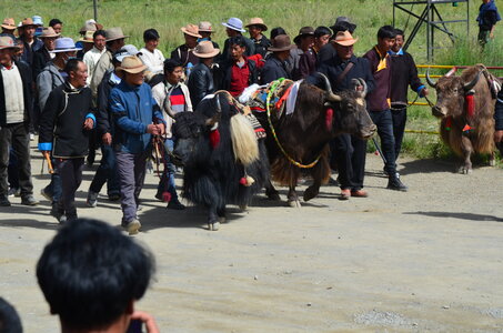 Tibet 2019 , J09_GDU_0943