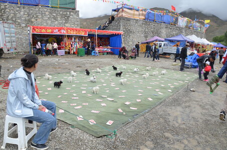 Tibet 2019 , J10_GDU_0986