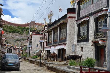 Tibet 2019 , J10_GDU_1001