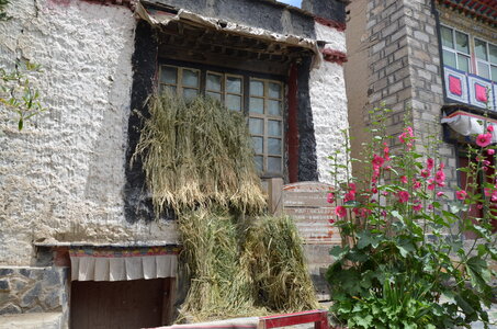 Tibet 2019 , J10_GDU_1003