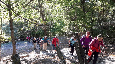 2019 10 08 Les Glazolles Monique, 003