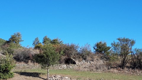 2019 10 08 Les Glazolles Monique, 005