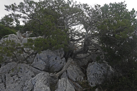2019-09-17-23-selvaggio-blu, selvaggio-blu-idileddu-portu-pedrosualpes-aventure-2019-09-19-16