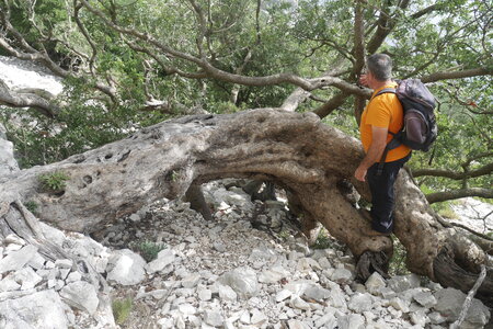 2019-09-17-23-selvaggio-blu, selvaggio-blu-idileddu-portu-pedrosualpes-aventure-2019-09-19-24