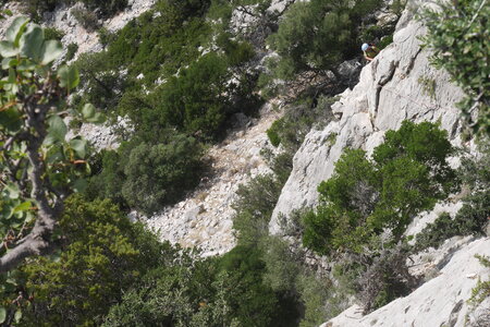 2019-09-17-23-selvaggio-blu, selvaggio-blu-idileddu-portu-pedrosualpes-aventure-2019-09-19-44