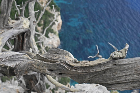 2019-09-17-23-selvaggio-blu, selvaggio-blu-portu-pedrosu-su-tasaru-alpes-aventure-2019-09-20-47