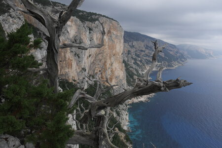 2019-09-17-23-selvaggio-blu, selvaggio-blu-portu-pedrosu-su-tasaru-alpes-aventure-2019-09-20-51