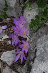2019-09-17-23-selvaggio-blu, selvaggio-blu-portu-pedrosu-su-tasaru-alpes-aventure-2019-09-20-56
