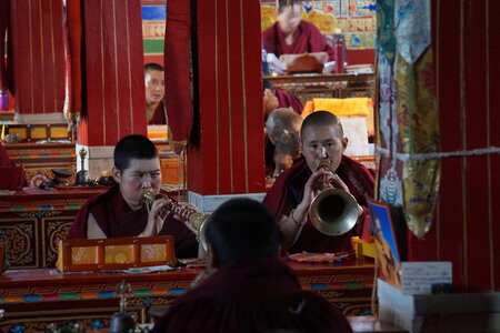 Tibet 2019 , J6_MCC_00243