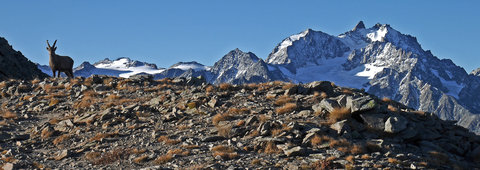 2019-10-11-alp-lauzet-buffere, haute-route-la-grave-briancon-lauzet-buffere-alpes-aventure-2019-10-11-16