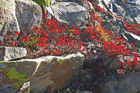 2019-10-11-alp-lauzet-buffere, haute-route-la-grave-briancon-lauzet-buffere-alpes-aventure-2019-10-11-28