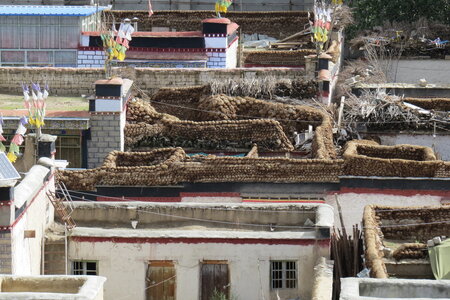 Tibet 2019 , J09_BJM_1301