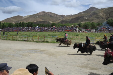 Tibet 2019 , J09_BJM_1332