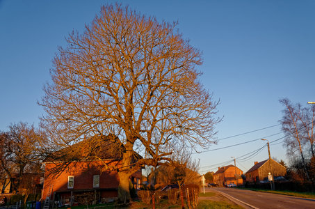 2019-02-15 Elefanten, 2019-02-15_DSC_7946_DxO