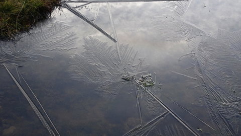2019_10_27 Etang de Médecourbe - Port de Bouet, DSC03606