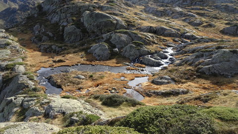 2019_10_27 Etang de Médecourbe - Port de Bouet, DSC03611