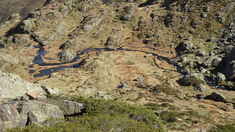 2019_10_27 Etang de Médecourbe - Port de Bouet, DSC03624