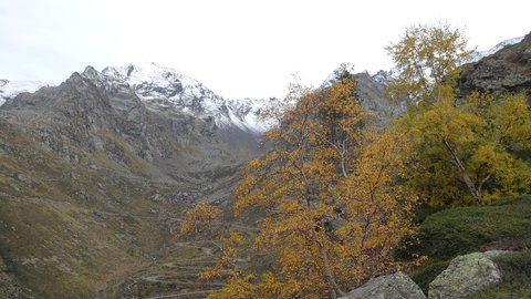 2019_10_27 Etang de Médecourbe - Port de Bouet, DSC03663