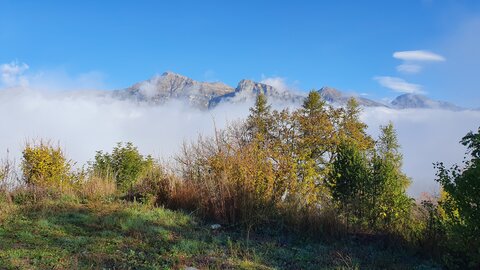 2019 10 29 Bois des Communs, 20191029_093318