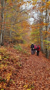 2019 10 29 Bois des Communs, 20191029_102258