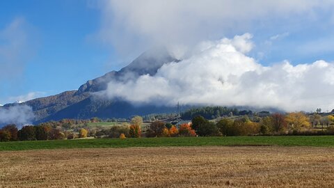 2019 10 29 Bois des Communs, 20191029_111301